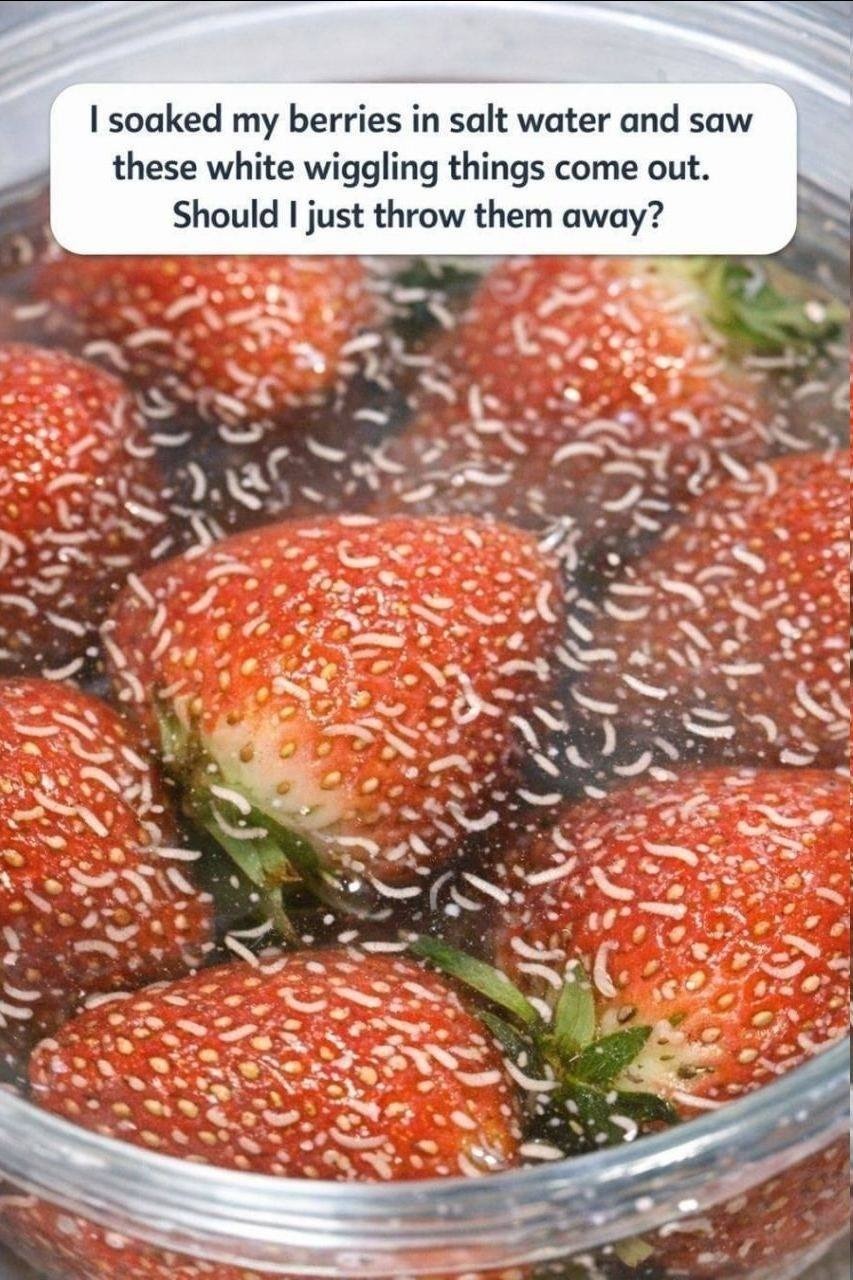 678221915 1653596679173333 1600527072985132766 n