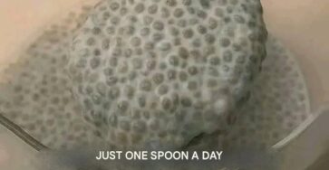689778193 122124368583203705 840528026388800366 n
