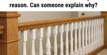 707617877 1276967971142679 6902960268330100989 n 1 363x188